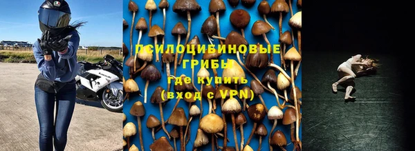 тгк Богородицк