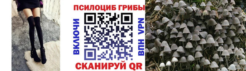 darknet какой сайт  Вихоревка  Галлюциногенные грибы ЛСД 